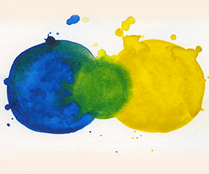 Szkolna Akcja Kolorów 