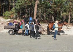 Najbardziej skuteczny i ekologiczny środek transportu