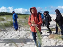 Profesor K. Springman w akcji