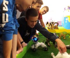 Międzynarodowa Interaktywna Wystawa Robotów w Gdańsku