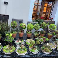 W dniach 14.-18.11.2022 uczniowie naszej szkoły wzięli udział w tygodniowym polsko-ukraińskim projekcie w Gdańsku pt.”NATURA - a człowiek solidarny XXIw.” 