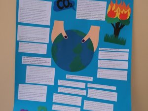 Dobiegł końca projekt "Dbaj o klimat. Redukuj CO2".