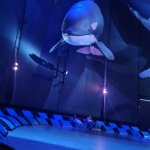 Polsko - niemiecka wymiana w Stralsundzie