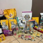 Pomocni z Żeroma zawieźli dziś do schroniska w Dabrówce zapas żywności i przysmaków, które udało się zebrać i kupić po miesięcznej akcji.