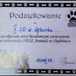 Pomocni z Żeroma zawieźli dziś do schroniska w Dabrówce zapas żywności i przysmaków, które udało się zebrać i kupić po miesięcznej akcji.