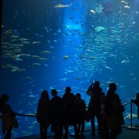 Wycieczka Straslund - uczniowie Lo1 na wymianie