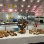 Euros Skills - Gdańsk 2023 - wycieczka LO1 Lębork