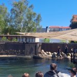 Wycieczka do Helu Klasy 2B - Dzień I i II