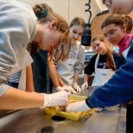 Wycieczka do Helu Klasy 2B - Dzień I i II