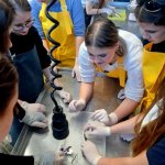 Wycieczka do Helu Klasy 2B - Dzień I i II