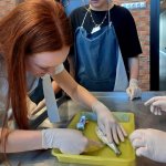 Wycieczka do Helu Klasy 2B - Dzień I i II