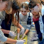 Wycieczka do Helu Klasy 2B - Dzień I i II