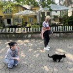 Litwa, Łotwa i Estonia