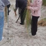 Ochrona Wybrzeża Bałtyku