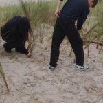 Ochrona Wybrzeża Bałtyku