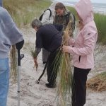 Ochrona Wybrzeża Bałtyku