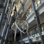 Pomorskie Warsztaty Naukowe