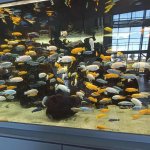 Pomorskie Warsztaty Naukowe