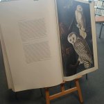 Pomorskie Warsztaty Naukowe