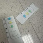 Pomorskie Warsztaty Naukowe