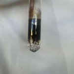 Pomorskie Warsztaty Naukowe