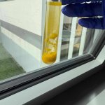 Pomorskie Warsztaty Naukowe