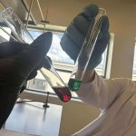 Pomorskie Warsztaty Naukowe