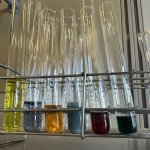 Pomorskie Warsztaty Naukowe