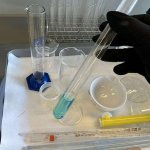 Pomorskie Warsztaty Naukowe