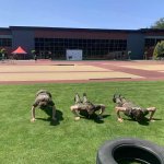 Wojewódzki Konkurs - Liga Klas Mundurowych