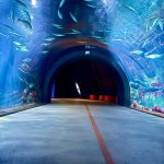 Wymiana Polsko - Niemiecka