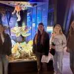 Wymiana Polsko - Niemiecka