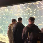 Wymiana Polsko - Niemiecka