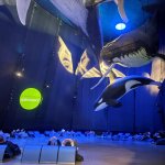 Wymiana Polsko - Niemiecka