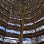 Wymiana Polsko - Niemiecka