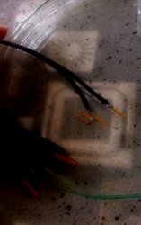 Zdjęcie przedstawia przewody wykorzystywane do stymulacji mózgu (w tym przypadku wykonane przez uczestnika zajęć)