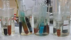 Chemia - kolejna, grupa gimnazjalistów odwiedzająca mury I LO