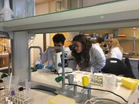 Zajęcia uczniów I&nbsp;Liceum Ogólnokształcącego w&nbsp;Lęborku na Wydziale Biologii - Uniwersytet Gdański