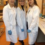 Zajęcia na UG - biologia