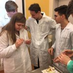 Zajęcia na UG - biologia