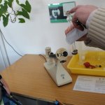 Zajęcia na UG - biologia i fizyka