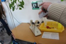 Zajęcia na UG - biologia i fizyka