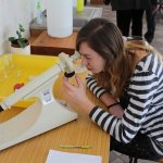 Zajęcia na UG - biologia i fizyka