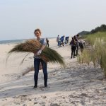 Ochrona plaży w Stilo