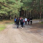 Ochrona plaży w Stilo